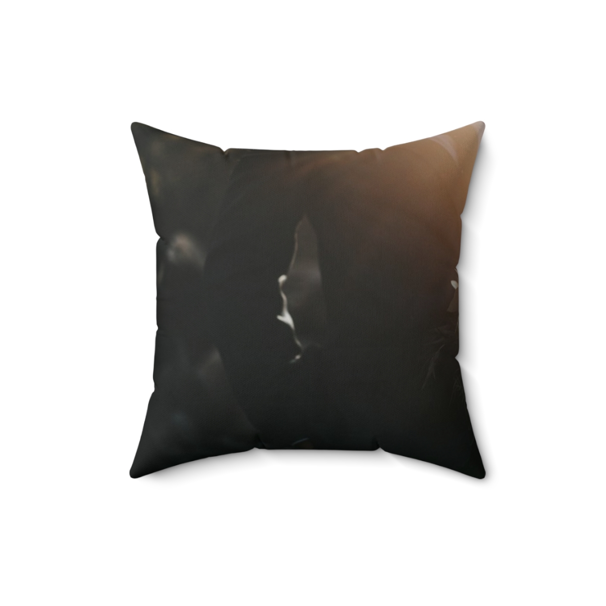 Cuscino personalizzato coppia