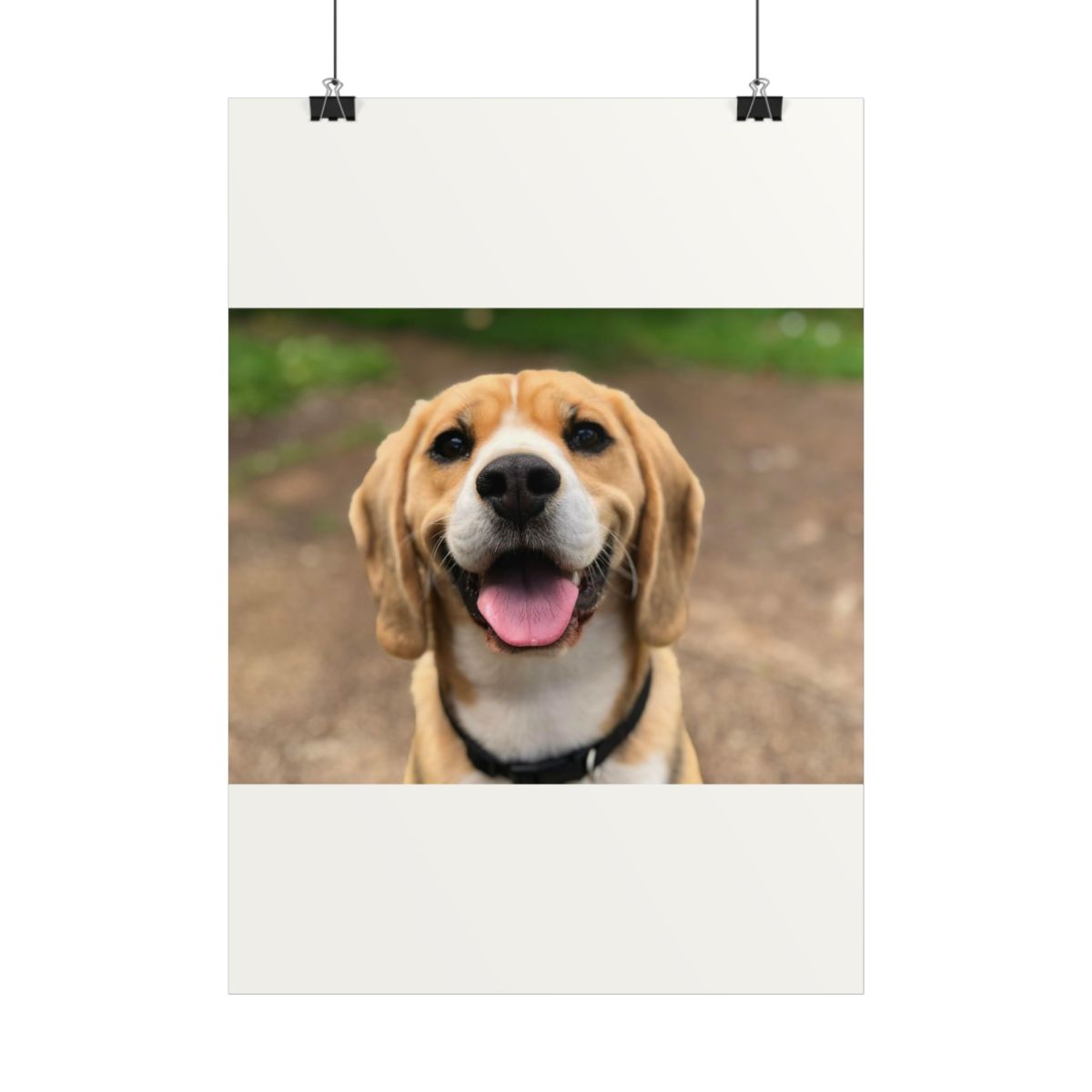 Poster personalizzato animale